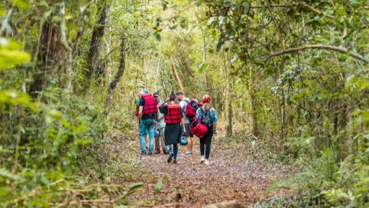 Dia Mundial da Terra: Nossa A&ccedil;&atilde;o Local, Um Impacto Global